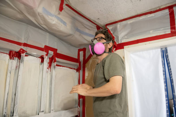 Reliable Yerington, NV Mold Removal Solutions