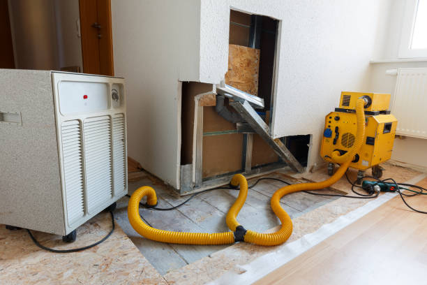 Best HVAC Mold Inspection and Cleaning  in Yerington, NV